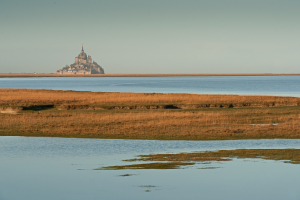 Salzwiese Mont St. Michel